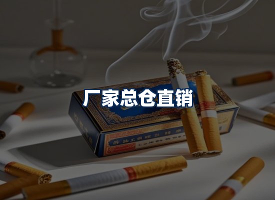 专业团队办公环境